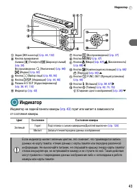 Страница 43