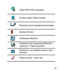 Страница 25