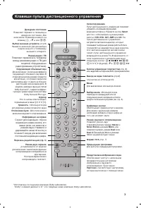 Strona 5