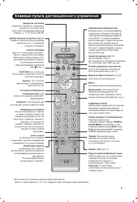 Strona 5