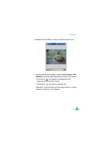 Страница 223
