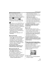 Страница 25