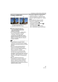 Страница 41