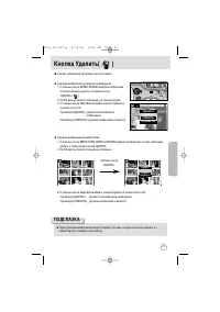 Страница 57