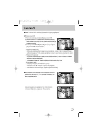 Страница 43