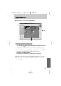 Страница 135