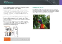 Страница 59