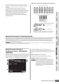 Страница 243