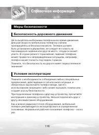 Страница 116