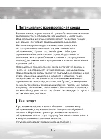 Страница 119