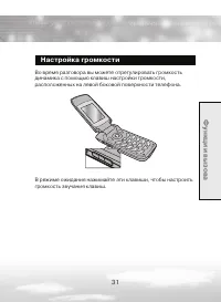 Страница 31