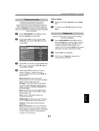 Страница 31