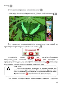 Страница 36