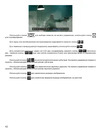 Страница 43
