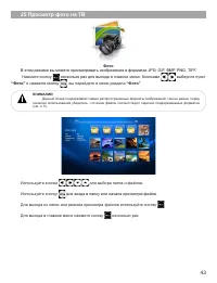Страница 44