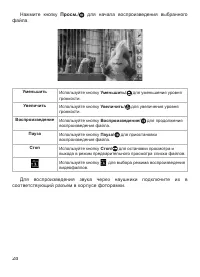 Страница 29