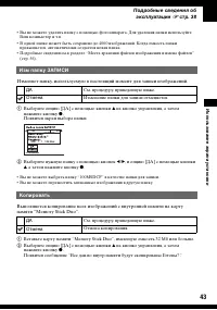 Страница 43