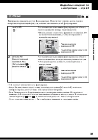 Страница 31