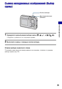 Страница 25