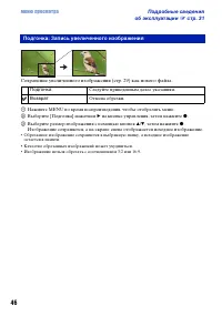 Страница 46