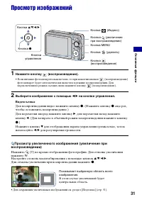 Страница 31