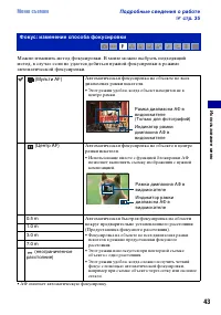 Страница 43