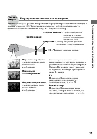 Страница 11