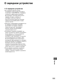 Страница 111