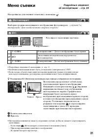 Страница 31