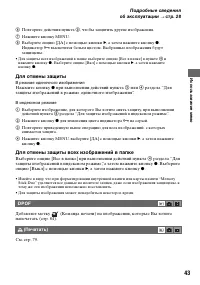Страница 43