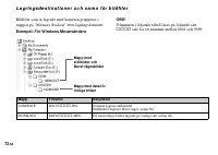 Страница 176