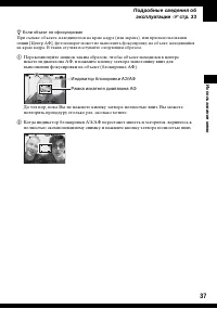 Страница 37