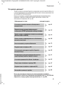 Страница 25