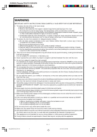 Страница 27