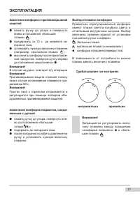 Страница 17
