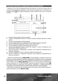 Страница 37