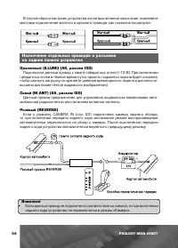 Страница 55