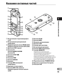 Страница 11