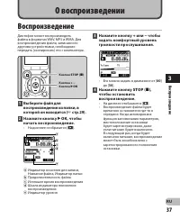 Страница 37