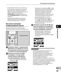 Страница 43