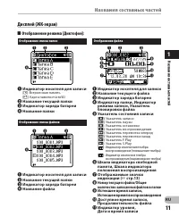 Страница 11