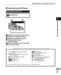 Страница 13