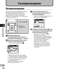 Страница 36