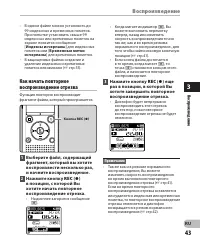 Страница 43