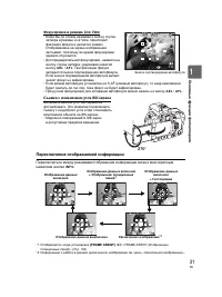 Страница 31