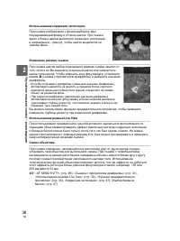 Страница 38