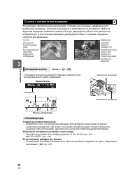 Страница 42