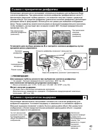 Страница 43