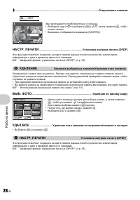Страница 28
