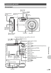 Страница 59